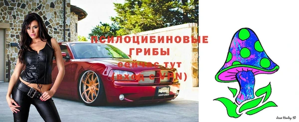 COCAINE Белокуриха