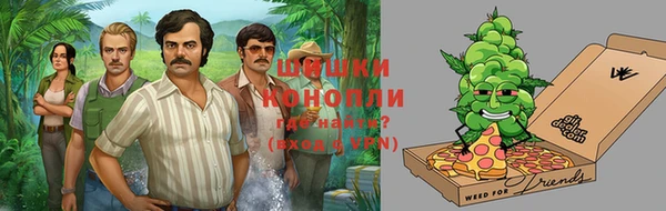 первитин Богданович